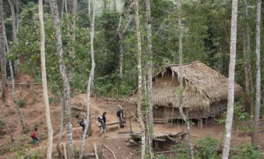 2 Days Nam Ha Valley Village Trek